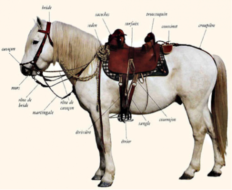 harnachement cheval
