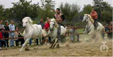 tradition camargue