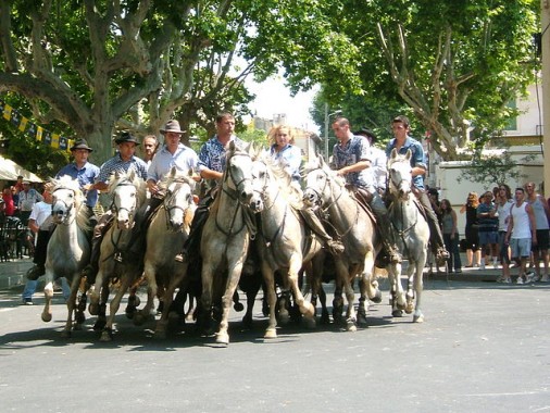 Nacioun Gardiano Camargue