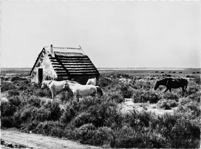 Cabane de gardian